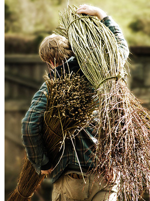 Trevor Leat - harvesting the willow